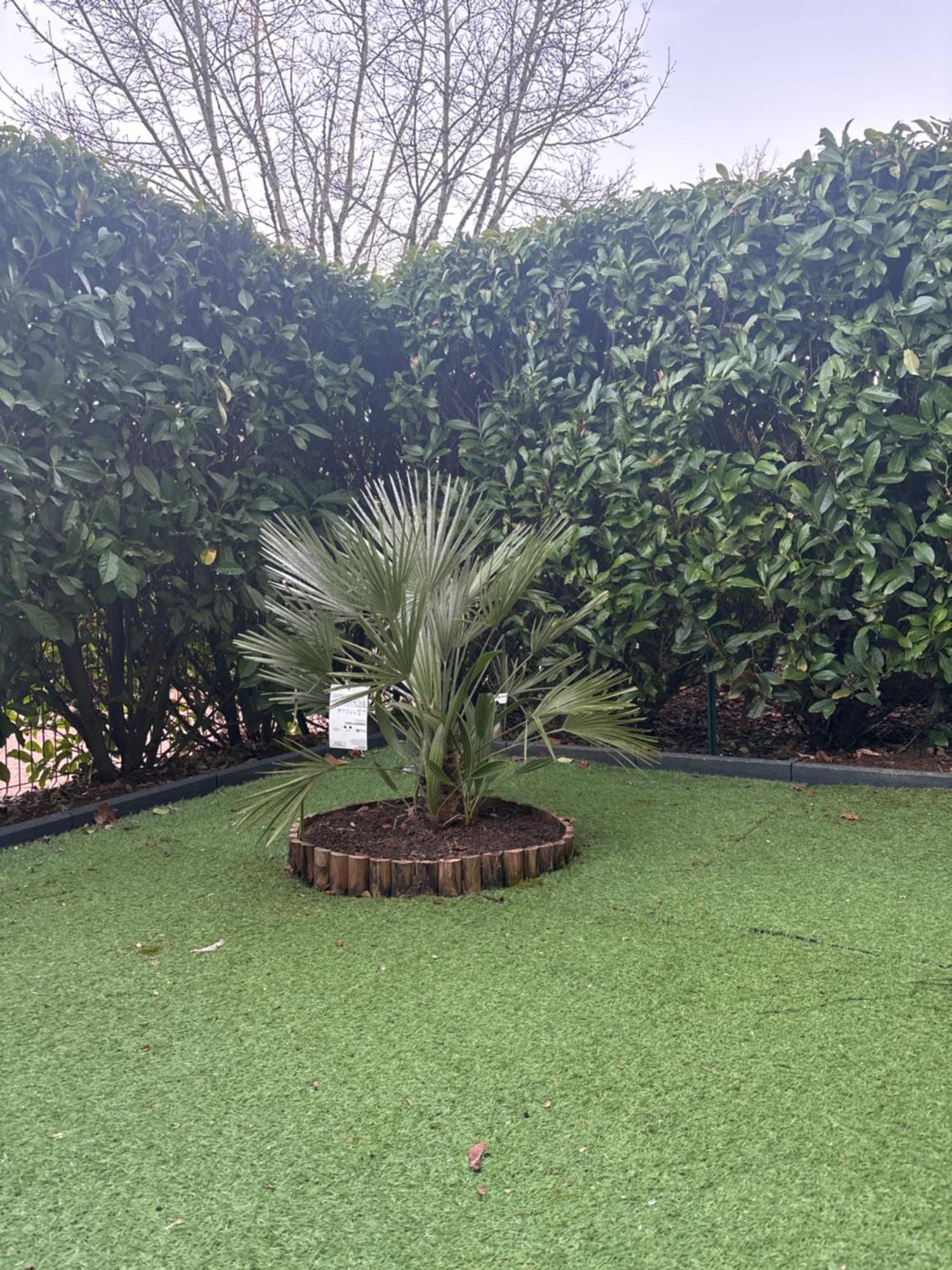 Romantisme Et Glamour Avec Spa ,Jardin Proche Zenith Dijon Exterior foto